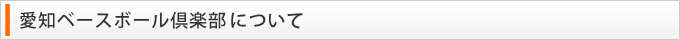 愛知ベースボール倶楽部について
